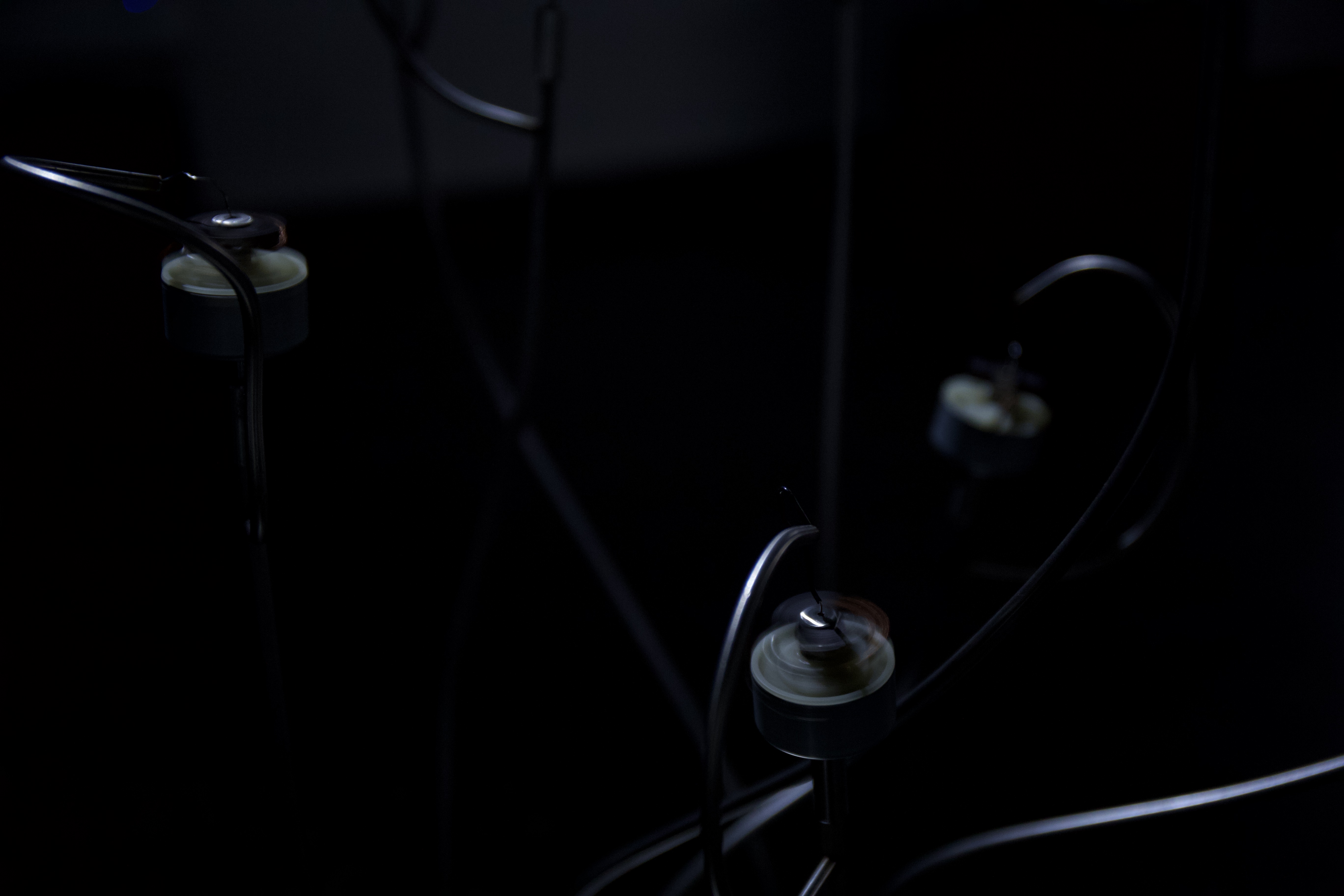 Buñuel in the Labyrinth of the Turtles