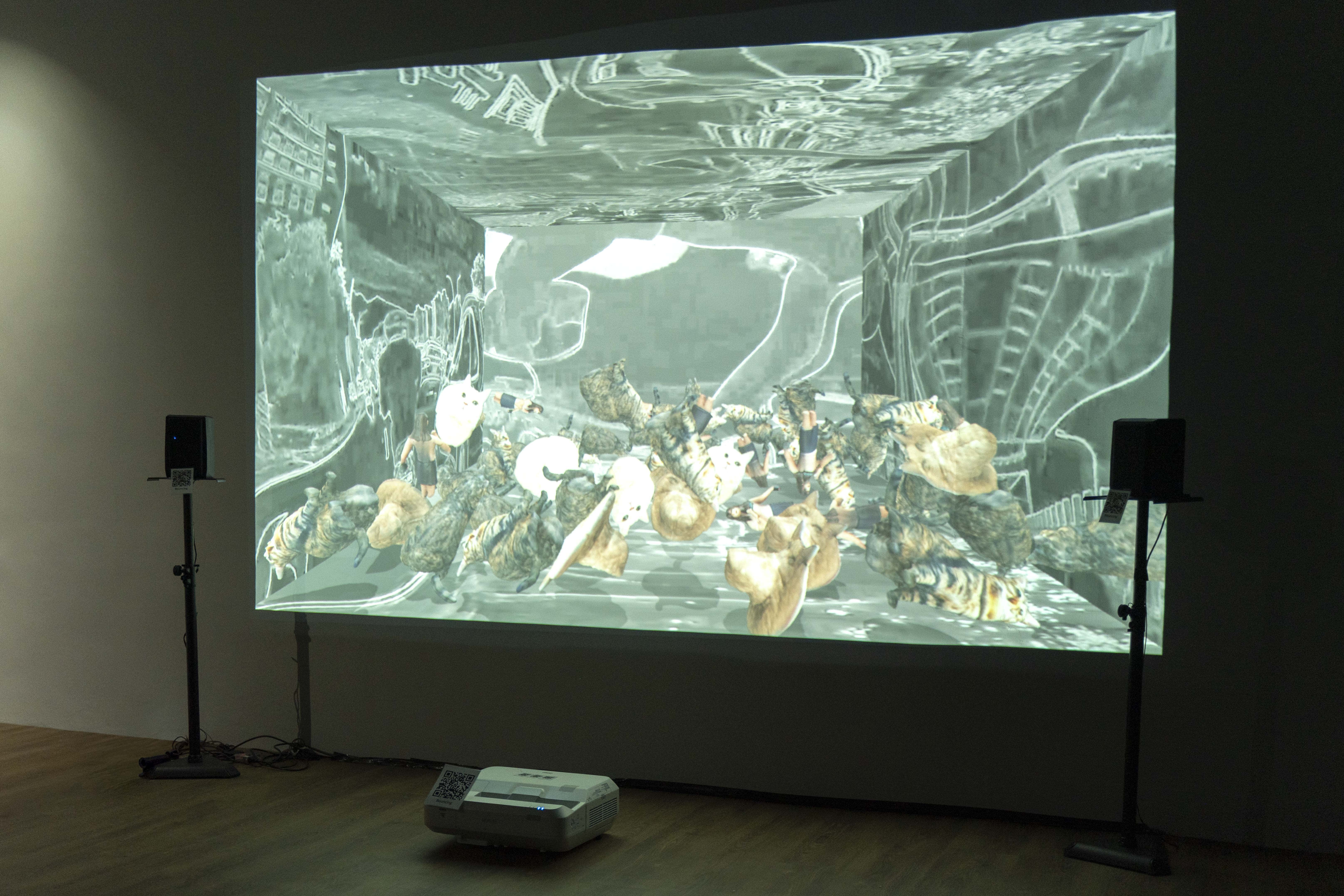 Morgan The Brave Orca